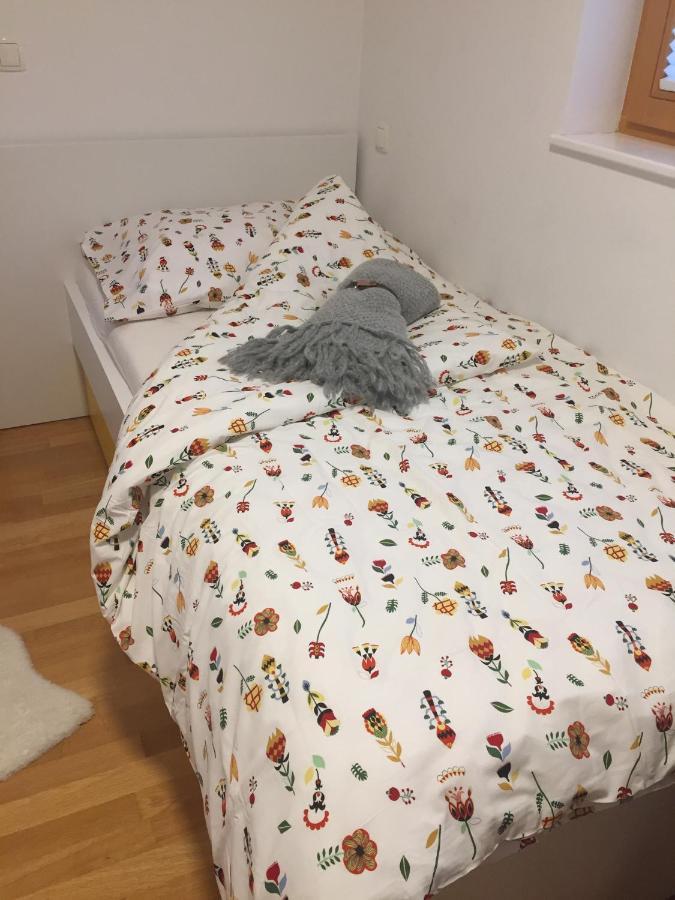 Apartma Pika Mojstrana Εξωτερικό φωτογραφία